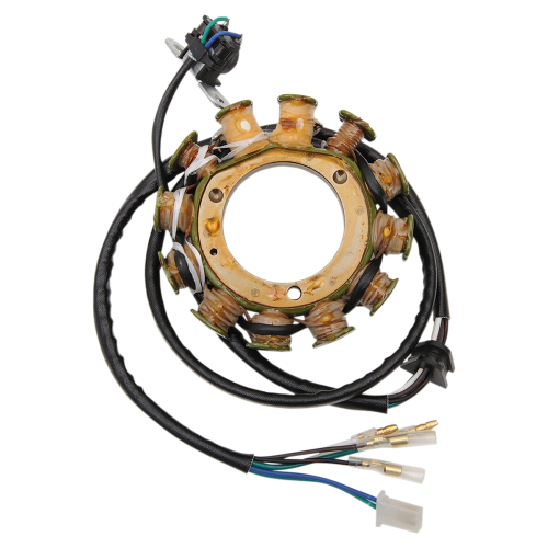 Ricks Motorsport Electric - Ricks Motorsport Electric Stator - 21-647H