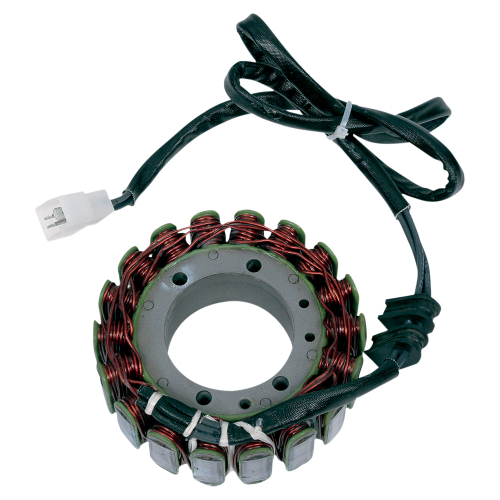 Ricks Motorsport Electric - Ricks Motorsport Electric Stator - 21-107