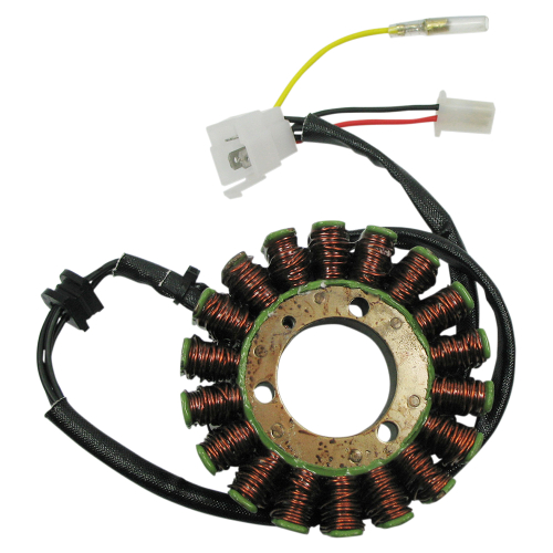 Ricks Motorsport Electric - Ricks Motorsport Electric Stator - 21-0096