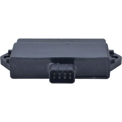 Wild Boar - Wild Boar CDI Box - 160-02092