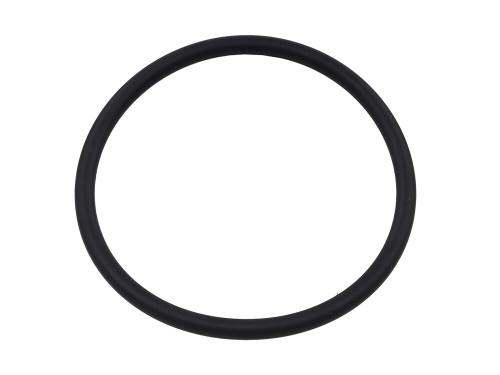 SP1 - SP1 Fuel Pump Seal - SM-07263