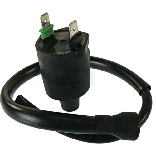 Arrowhead - Arrowhead Ignition Coil - 160-01020