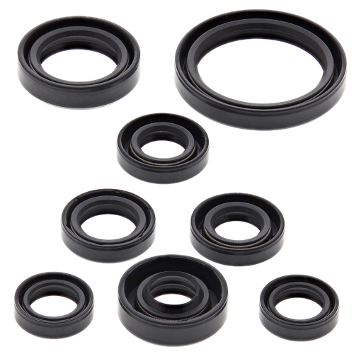 Vertex - Vertex Oil Seal Kit - 822167