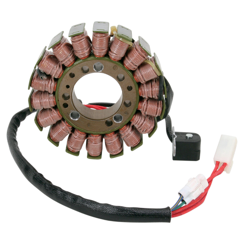 Ricks Motorsport Electric - Ricks Motorsport Electric Stator - 21-012