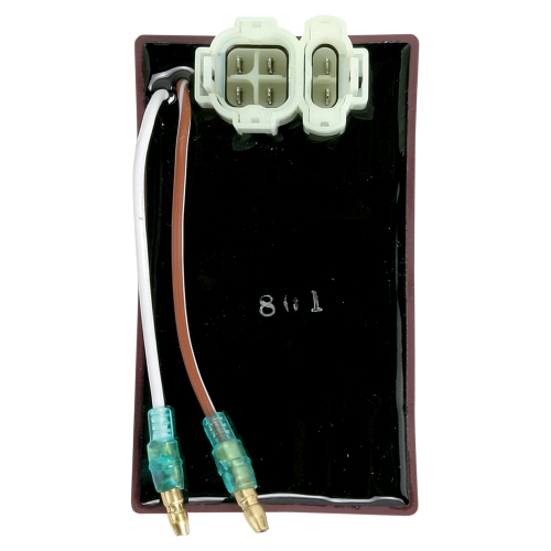Ricks Motorsport Electric - Ricks Motorsport Electric CDI Box - 15-508