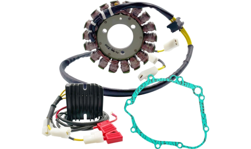 Ricks Motorsport Electric - Ricks Motorsport Electric Lithium-Ion Friendly Charging Kit - 14-99-300