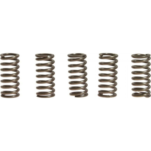 EBC - EBC CSK Clutch Spring Kit - CSK185