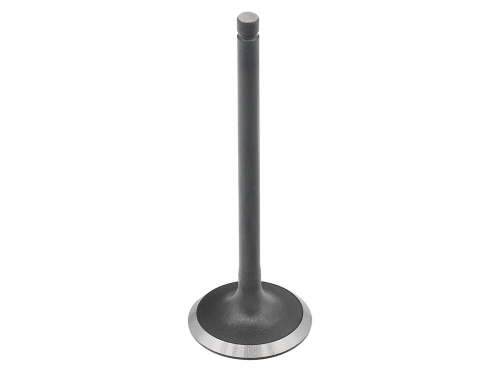 Bronco - Bronco Intake Valve - AU-09226I