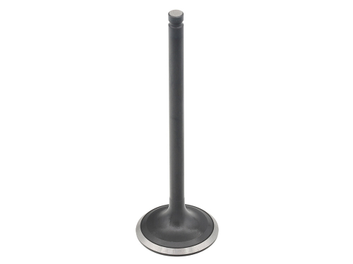 Bronco - Bronco Exhaust Valve - AU-09203E