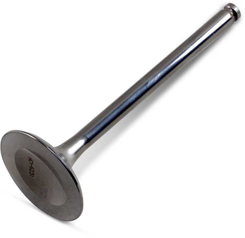 Del West - Del West Titanium Exhaust Valve (1mm Oversize) - DW-LTR4501EV11