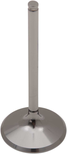 Del West - Del West Titanium Intake Valve (1mm Oversize) - DW-TRX450R-1-IV05