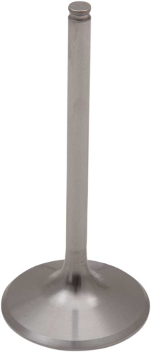 Del West - Del West Titanium Intake Valve (2mm Oversize) - DW-CRF450R2IV02