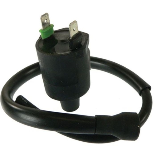 Wild Boar - Wild Boar Ignition Coil - 160-01020