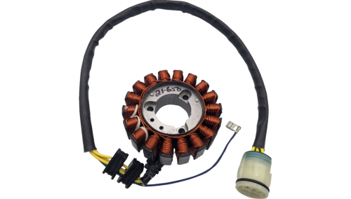 Ricks Motorsport Electric - Ricks Motorsport Electric Stator - 21-650