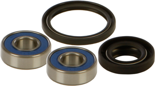 All Balls - All Balls Wheel Bearing and Seal Kit - 25-1120