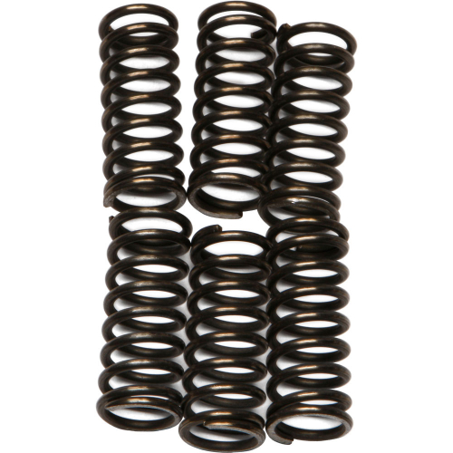 EBC - EBC CSK Clutch Spring Kit - CSK96
