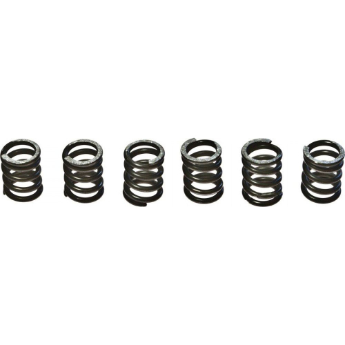 EBC - EBC CSK Clutch Spring Kit - CSK71