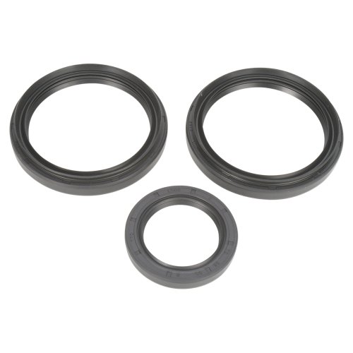 All Balls - All Balls Differential Seal Only Kit - 25-2050-5