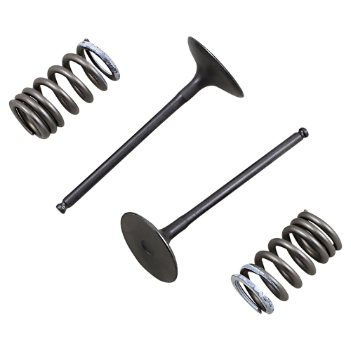 Pro-X - Pro-X Steel Intake Valve and Spring Kit - 28.SIS3338-2
