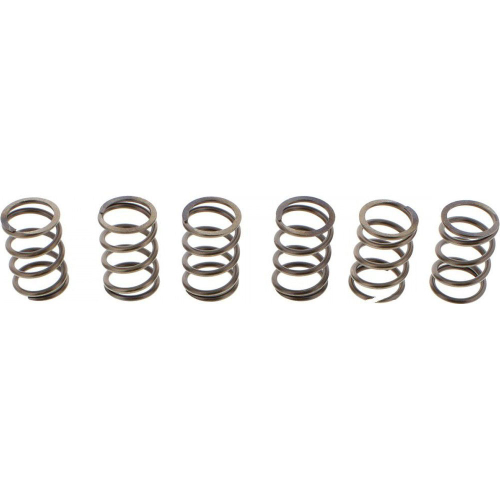EBC - EBC CSK Clutch Spring Kit - CSK197
