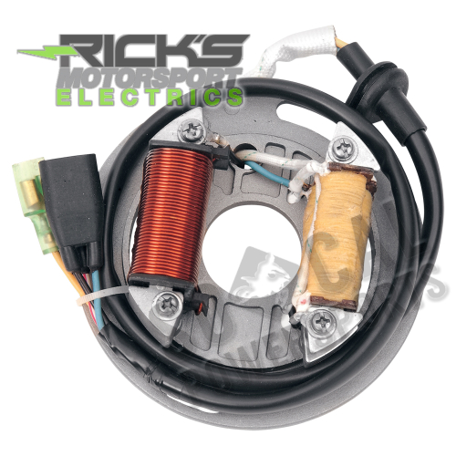 Ricks Motorsport Electric - Ricks Motorsport Electric Stator - 21-705H