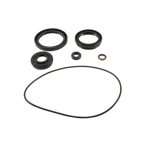 All Balls - All Balls Differential Seal Only Kit - 25-2120-5