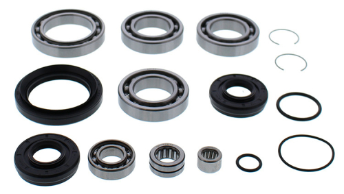 All Balls - All Balls Differential Bearing and Seal Kit - 25-2110