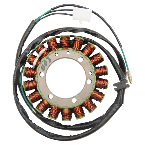 Ricks Motorsport Electric - Ricks Motorsport Electric Stator - 21-637