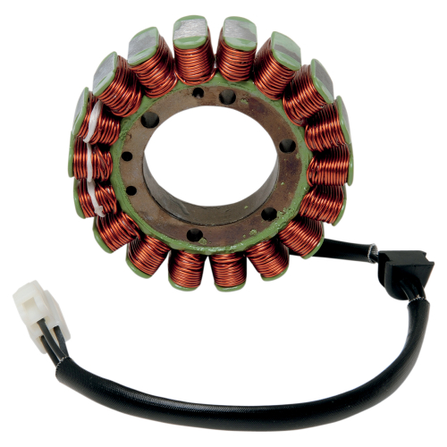 Ricks Motorsport Electric - Ricks Motorsport Electric Stator - 21-019