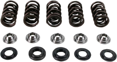 Hot Cams - Hot Cams Valve Spring Kit - SKYFM660S2