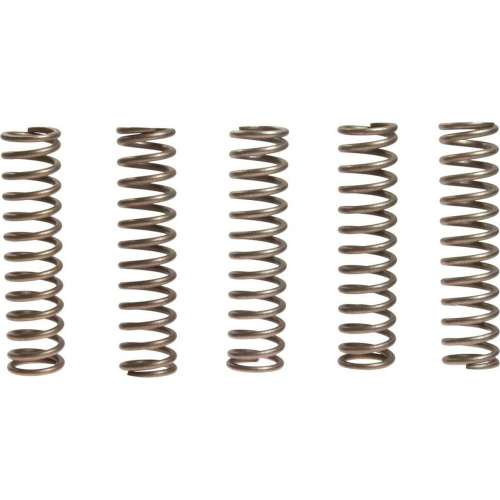EBC - EBC CSK Clutch Spring Kit - CSK110