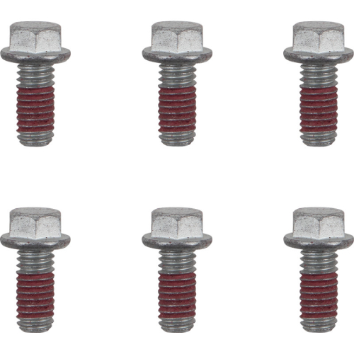 Moto-Master - Moto-Master Brake Rotor Bolts - M6x13 - 12019-PU