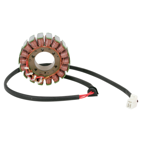 Ricks Motorsport Electric - Ricks Motorsport Electric Stator - 21-009