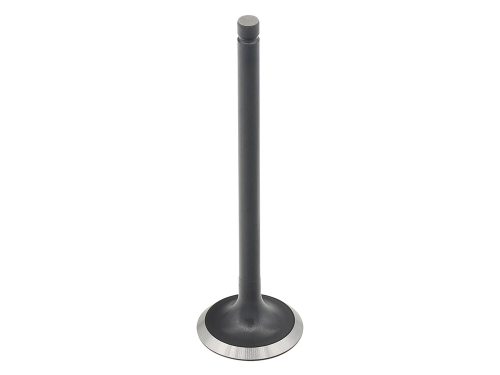 Bronco - Bronco Exhaust Valve - AU-09226E