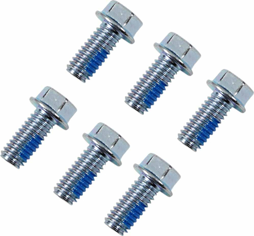 Moose Racing - Moose Racing OEM Rotor Bolts - Front/Rear - 039-6A06