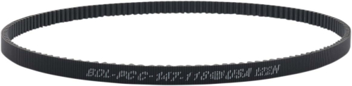 Belt Drives Ltd - Belt Drives Ltd 1-1/8in. Rear Drive Belt - 147T - PCC-147-118