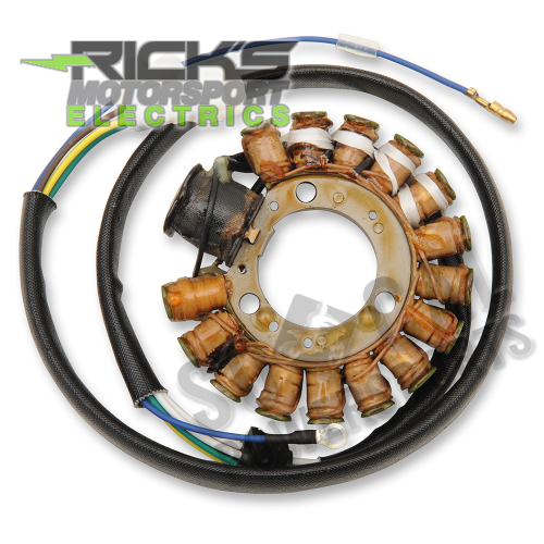 Ricks Motorsport Electric - Ricks Motorsport Electric Stator - 21-931