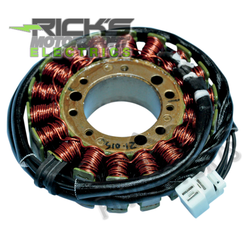 Ricks Motorsport Electric - Ricks Motorsport Electric Stator - 21-015