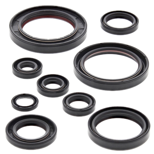 Vertex - Vertex Oil Seal Kit - 822315