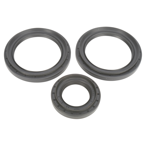 All Balls - All Balls Differential Seal Only Kit - 25-2045-5