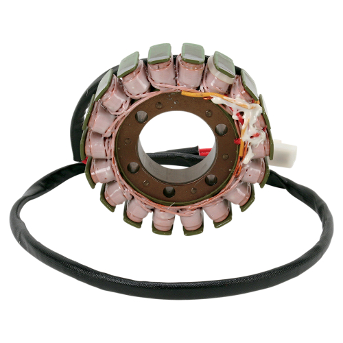 Ricks Motorsport Electric - Ricks Motorsport Electric Stator - 21-010