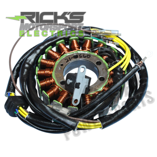 Ricks Motorsport Electric - Ricks Motorsport Electric Stator - 21-560