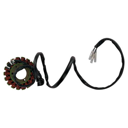 Ricks Motorsport Electric - Ricks Motorsport Electric Stator - 21-302