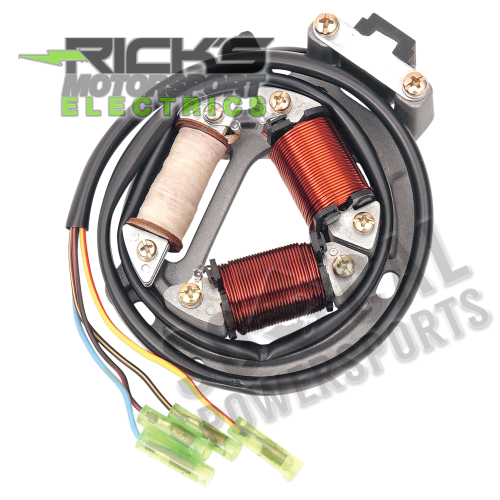 Ricks Motorsport Electric - Ricks Motorsport Electric Stator - 21-802H