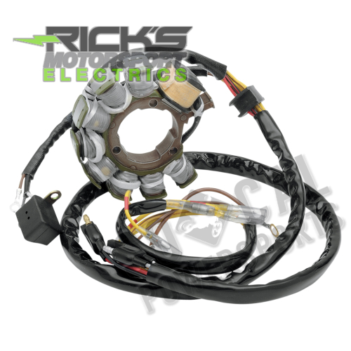 Ricks Motorsport Electric - Ricks Motorsport Electric Stator - 21-554