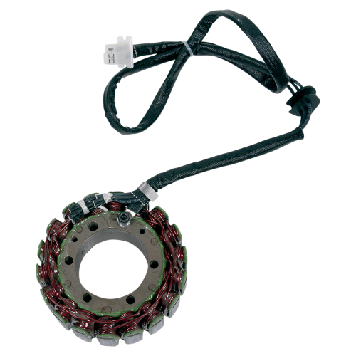 Ricks Motorsport Electric - Ricks Motorsport Electric Stator - 21-405