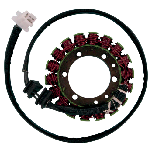 Ricks Motorsport Electric - Ricks Motorsport Electric Stator - 21-105
