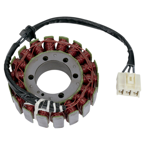 Ricks Motorsport Electric - Ricks Motorsport Electric Stator - 21-110