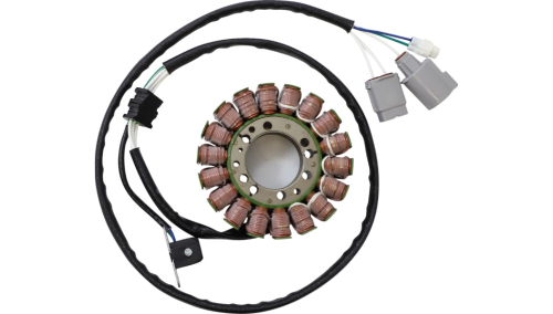 Ricks Motorsport Electric - Ricks Motorsport Electric Stator - 21-934H
