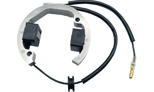 Ricks Motorsport Electric - Ricks Motorsport Electric Stator - 21-0093